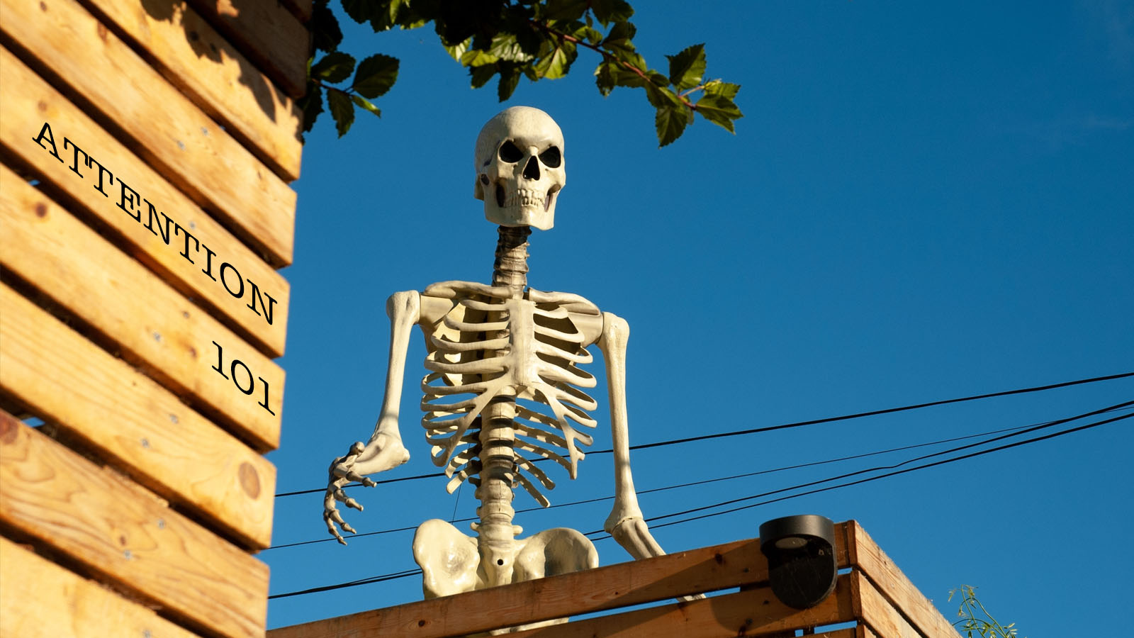 img-blog-homedepot-skeleton