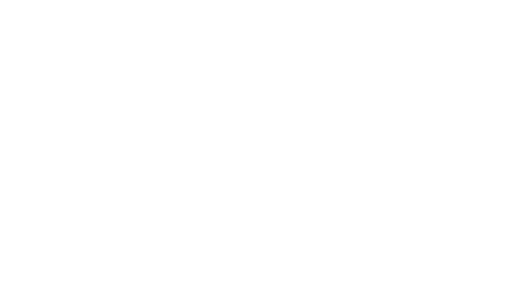Digitas LBI