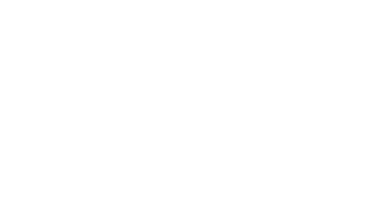 sprint-logo-white